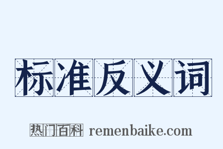 标准反义词是什么意思的图片